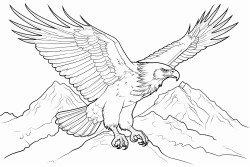 aigle  tte blanche