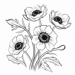anemone in wild life