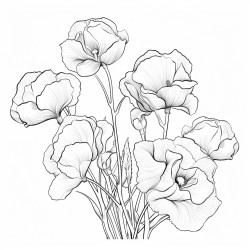 sweetpea flowers