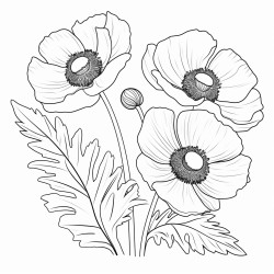 anemone in wild life