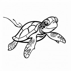 turtle