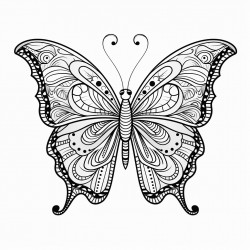 butterfly with mandala pattern inside
