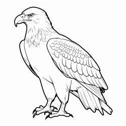 a cute eagle tengssuun  coloring bookvector white background black and white black drawing