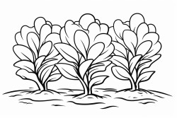 bushes