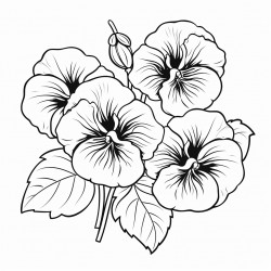 simple flower pansies drawing with bold and black lines