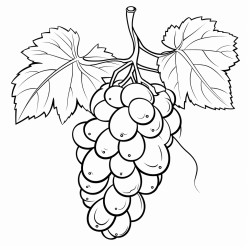 grapes