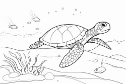 the life cycle of a sea turtle demarcated by an arrow
