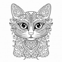 sad cat