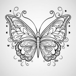 a butterfly with a floral pattern in the middle of it