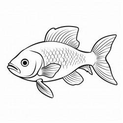 freshwater fish