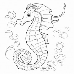 sea horse