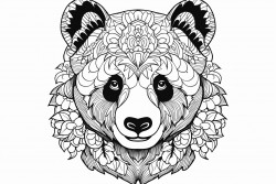a panda