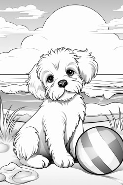 fluffy puppy at the beach playing with a ball