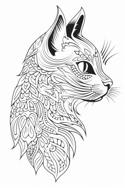 cat profile for kids with cute playful  and whimsical illustrations
