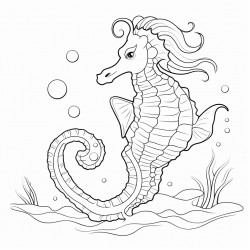 sea horse