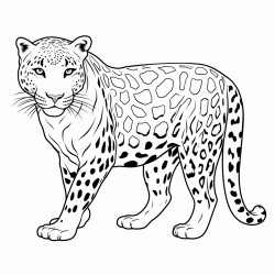 a full body coloring page of a jaguar
