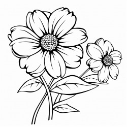 a flowering plant