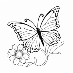 butterfly flying to sunflower
