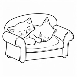 cat naps on sofa