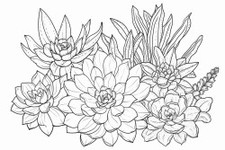 succulents