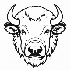 bison face mask