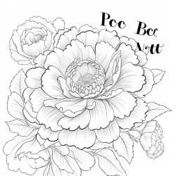 a peony flower surrounded by daisies with the words to color in you are beautiful