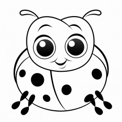ladybug