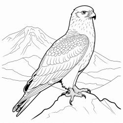 a cute icelandic gyrfalcon