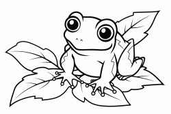little frog on a leaf