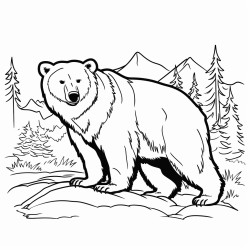 black bear