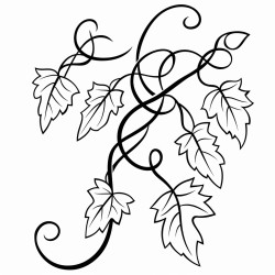 vines