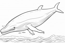 coloring page for kids whale flying cartoon style thick lines no shading  ar 911