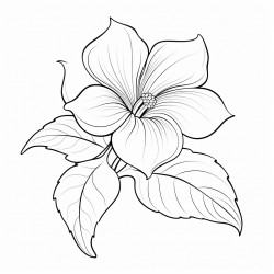 one anthrium flower sorrounded by leaves