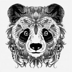 panda yaprak yiyor