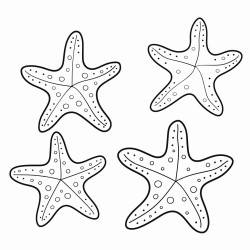 3 starfish