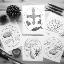 a collage that includes a pine tree wooden boat oars a lobster a potato  a moose mittens a sand dollar a shrimp a whoopie pie a clam bluberries and a chickadee