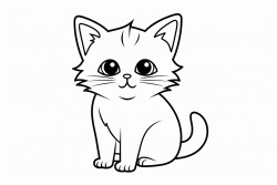 orange cat