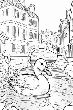 duck play water in canal