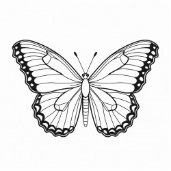 monarch butterfly