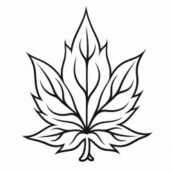 flaming weed leaf