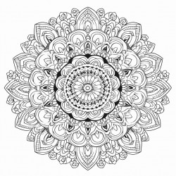 line drawing of intricate mandala no noise