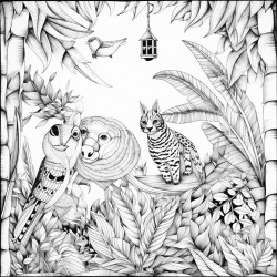 jungle