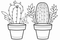 cacti