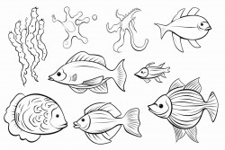 sea animals