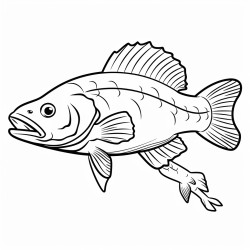 flathead fish