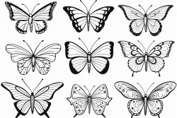 des papillons