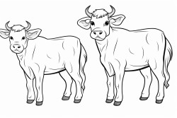 cows