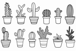 cacti