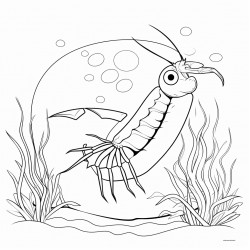 a shrimp in the ocean cooked