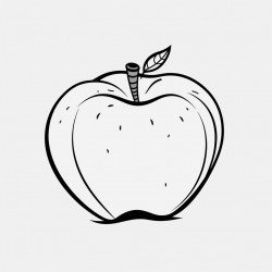 apple fruit